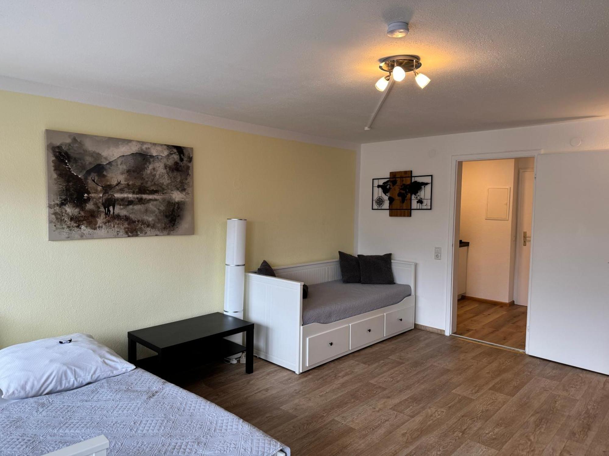 Domview Apartment St. Blasien Extérieur photo