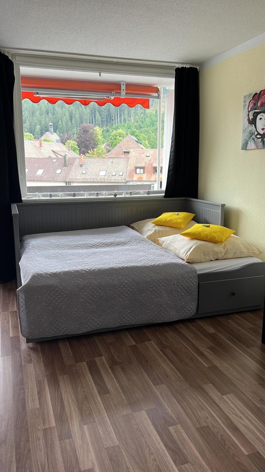Domview Apartment St. Blasien Extérieur photo