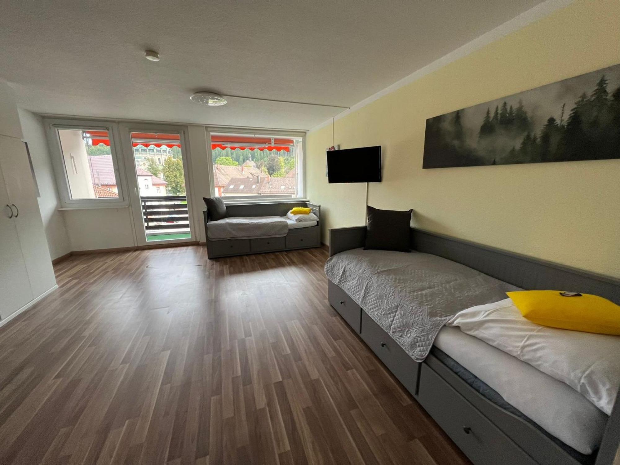 Domview Apartment St. Blasien Extérieur photo