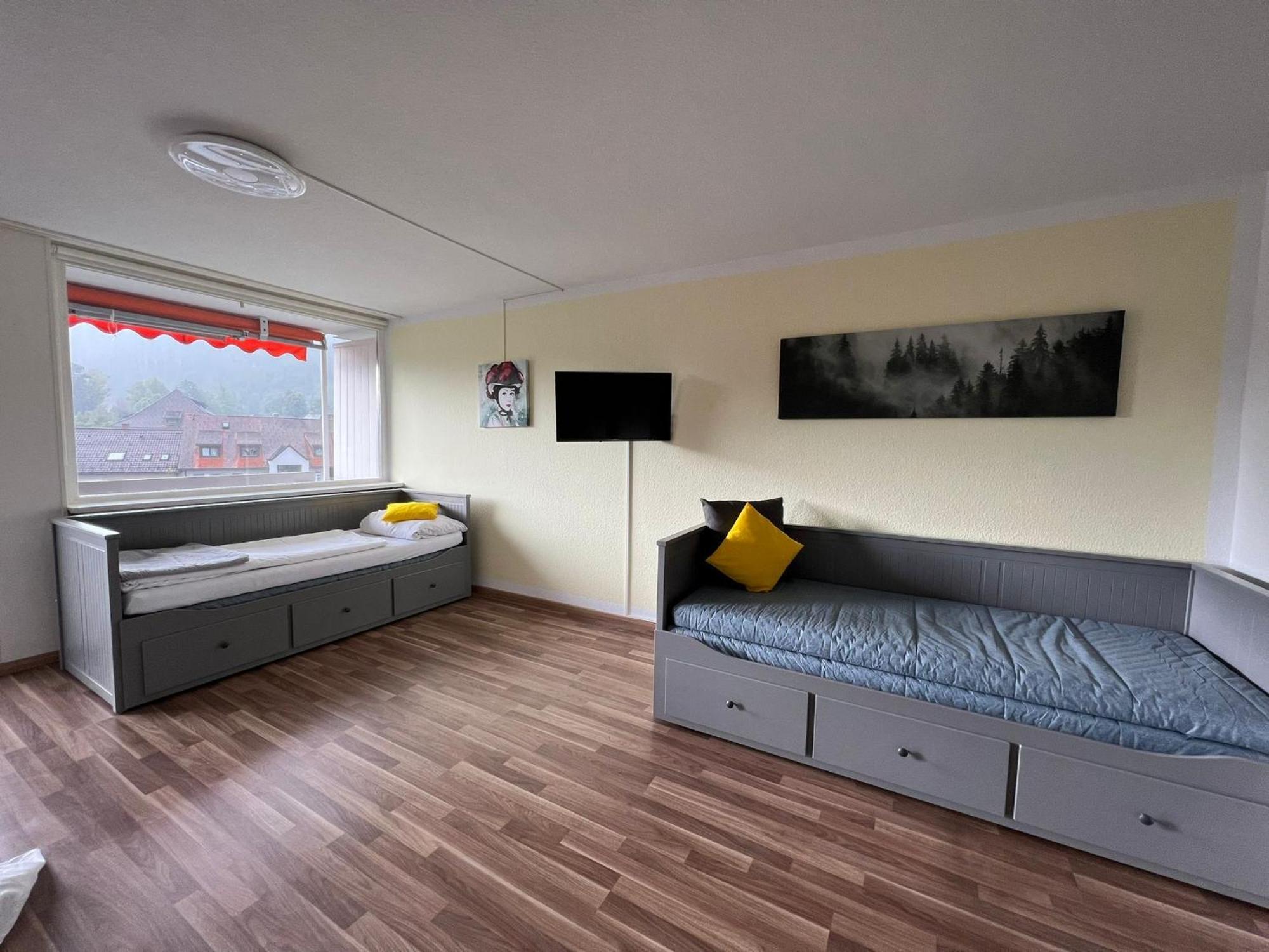 Domview Apartment St. Blasien Extérieur photo