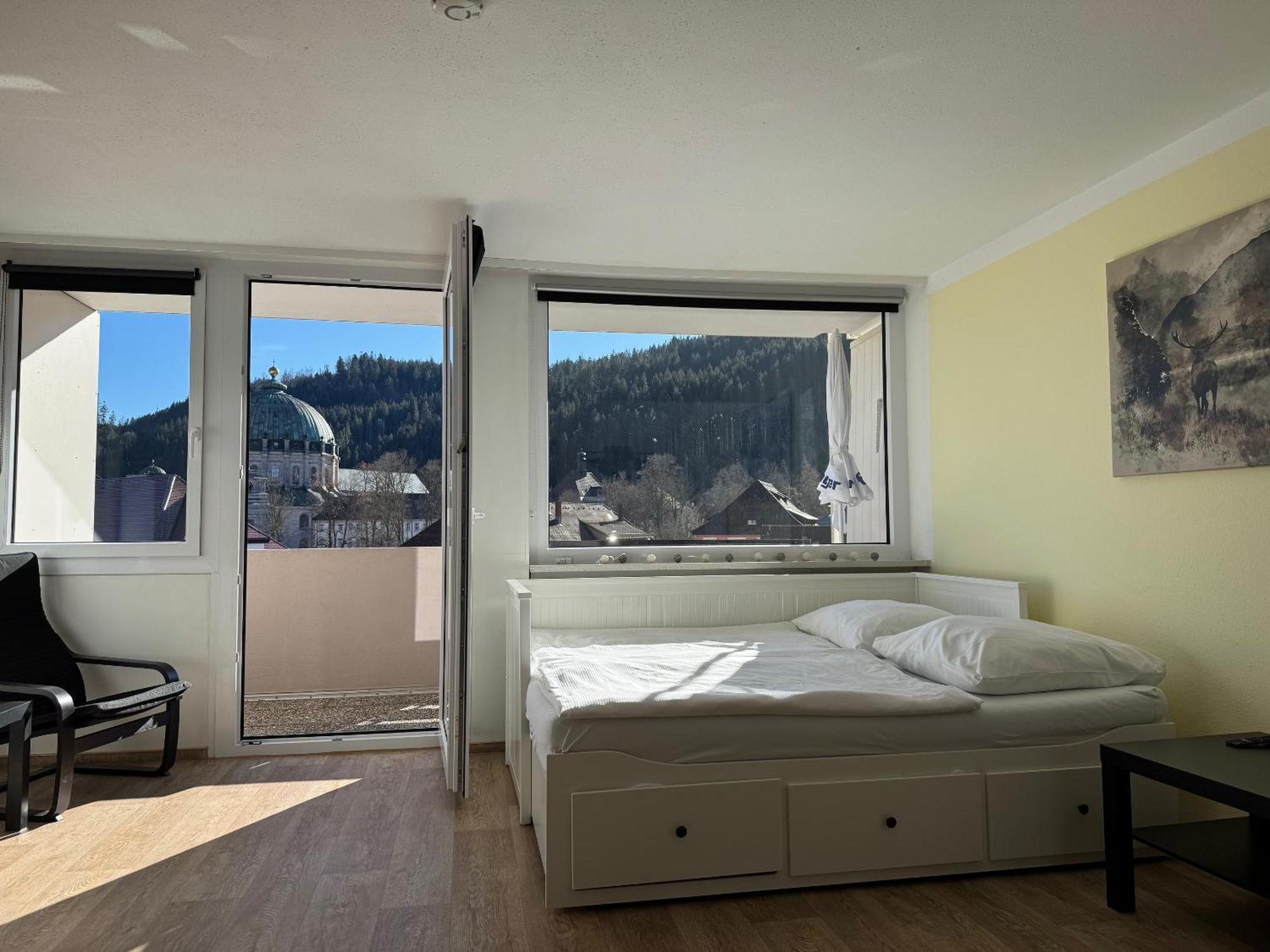 Domview Apartment St. Blasien Extérieur photo